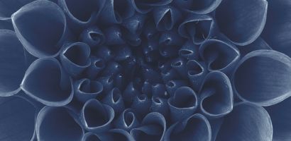 Centre Hospitalier Neuro-Psychiatrique